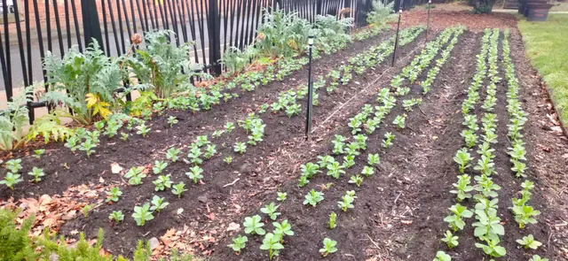 The Agrarian Kitchen
