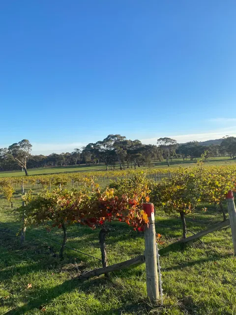 del Rios Winery and Restaurant