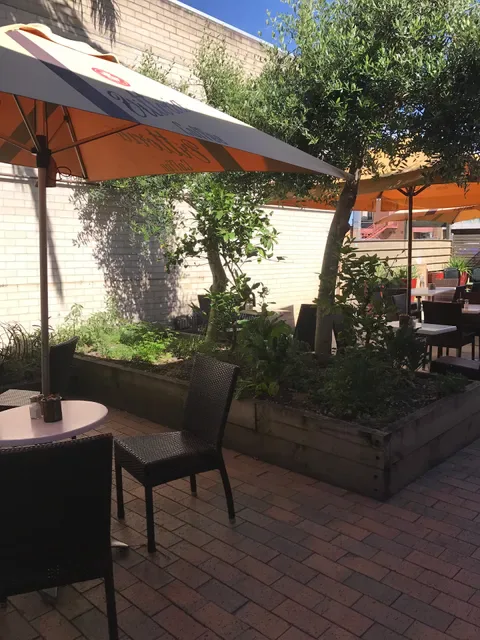 Paper Chase Cafe