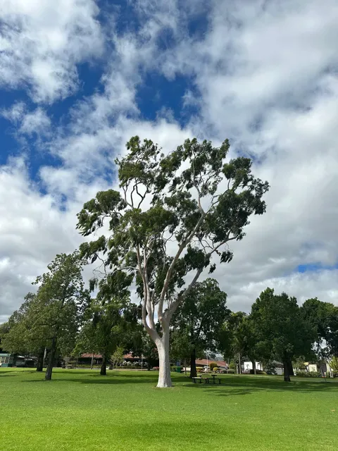 Whitby Bendigo