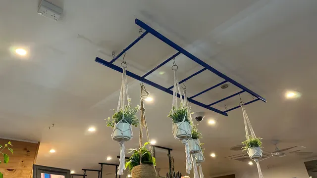 Bani's Restaurant & Bar