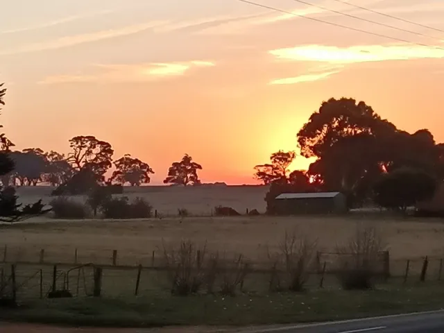 The American Creswick