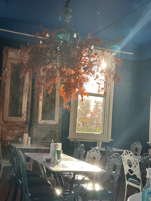 Bad Habits Café
