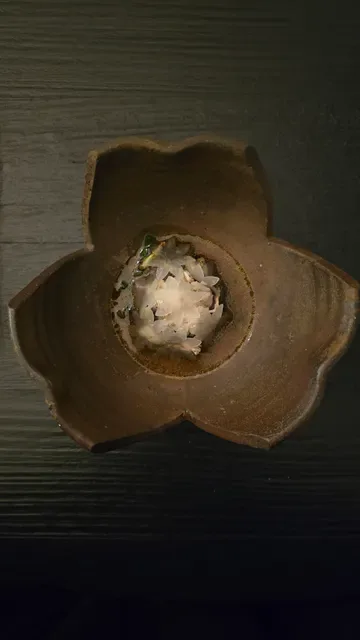 Kadota Restaurant
