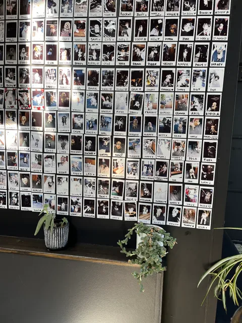 Industry26 Cafe