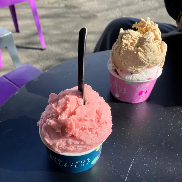 Augustus Gelatery + Acai Geelong