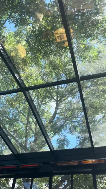 The Arborist