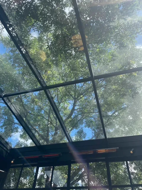 The Arborist