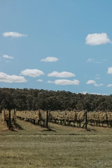 Narkoojee Winery and Cellar Door