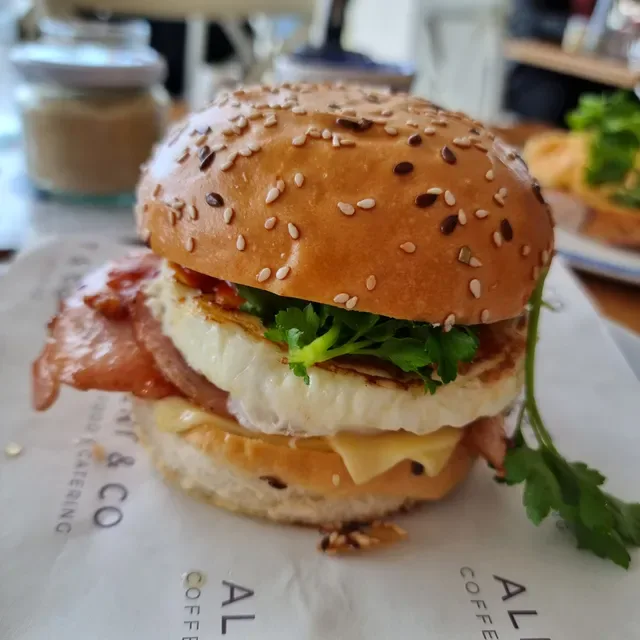 Albert & Co