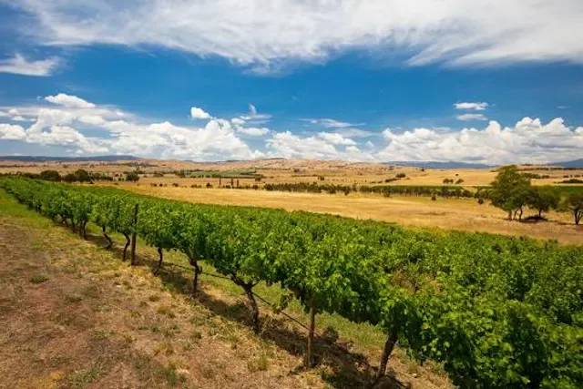 Delatite Winery