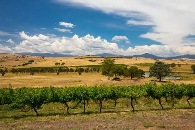 Delatite Winery