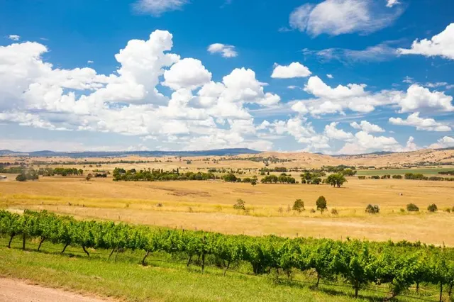 Delatite Winery