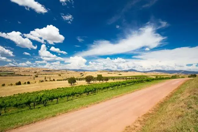 Delatite Winery