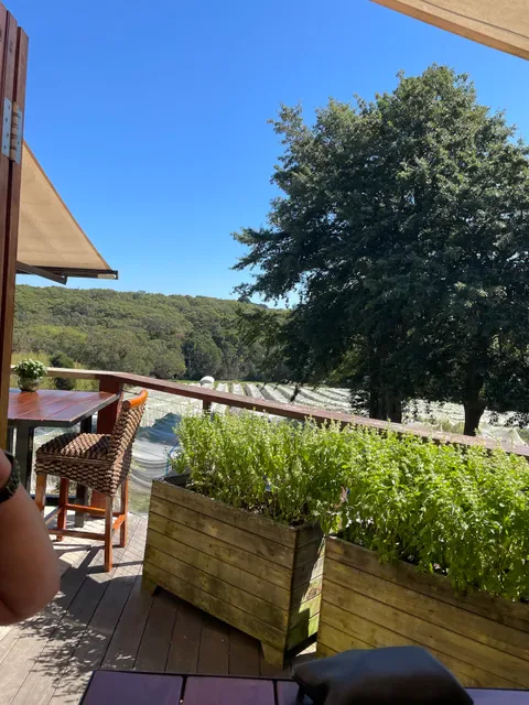 Abelli Estate Winery