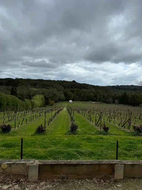 Abelli Estate Winery