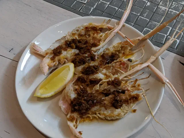 Anchovy