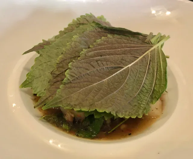Anchovy