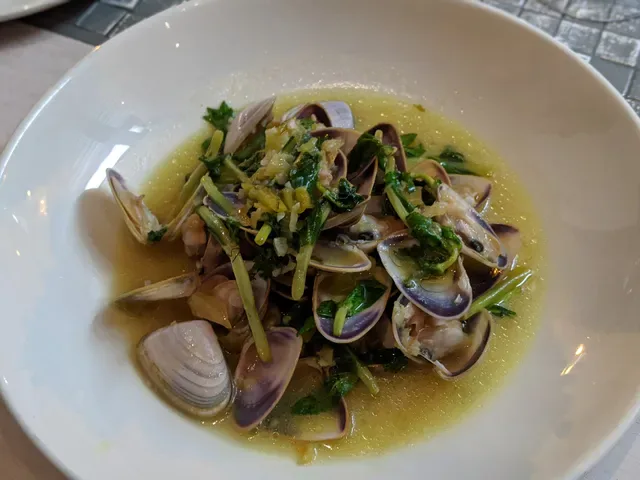 Anchovy