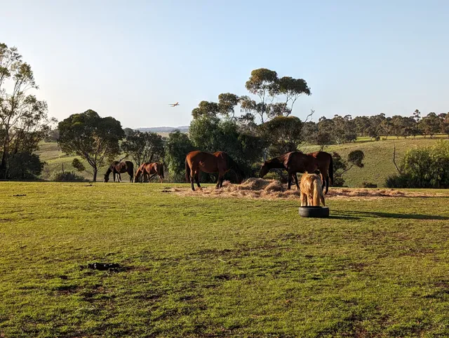 Arundel Farm Estate