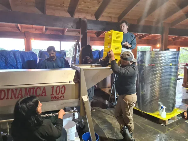 Avani Wines