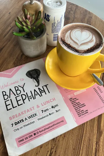 Baby Elephant