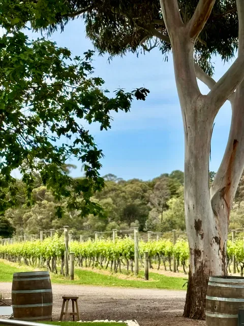 Barmah Park Restaurant & Cellar Door