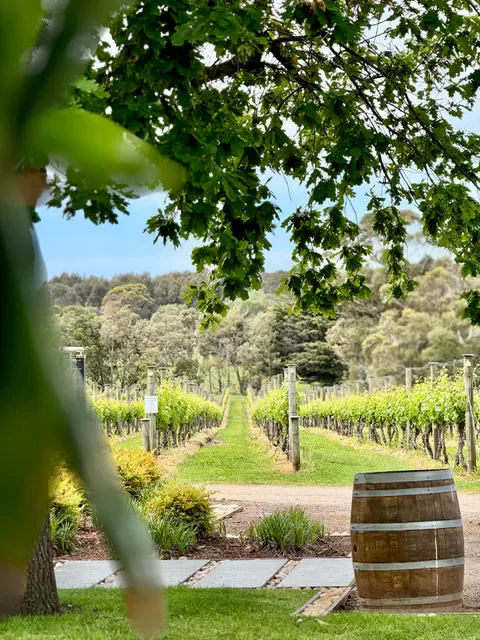 Barmah Park Restaurant & Cellar Door