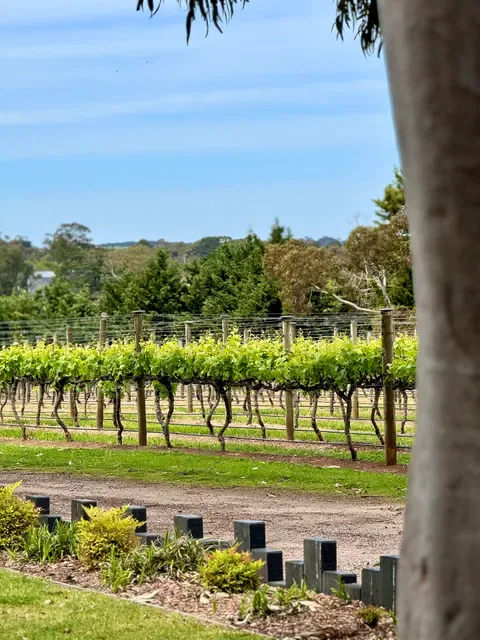 Barmah Park Restaurant & Cellar Door
