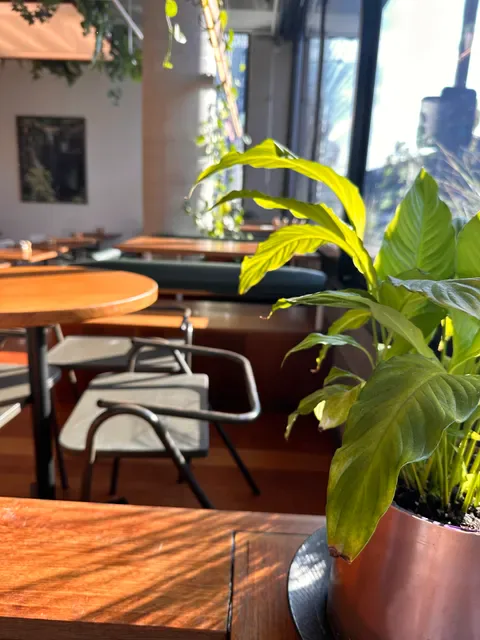 Bawa Cafe Hawthorn