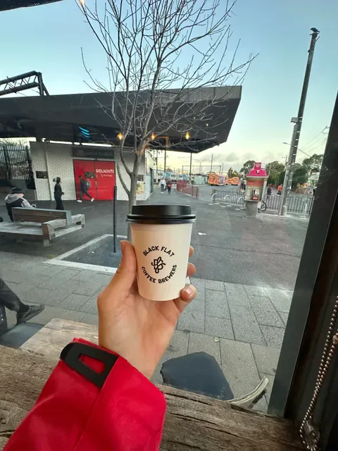 Black Flat Coffee Brewers