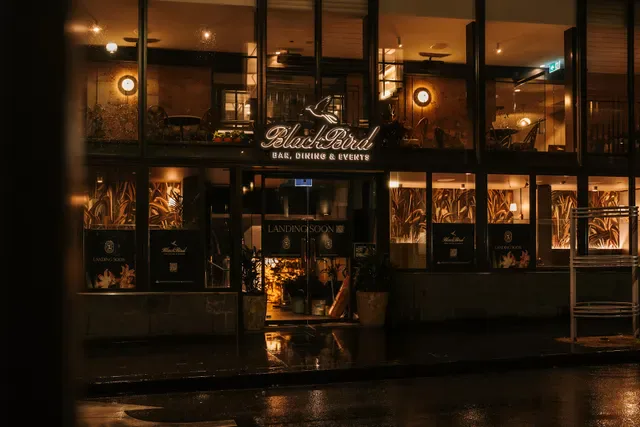 Blackbird Melbourne