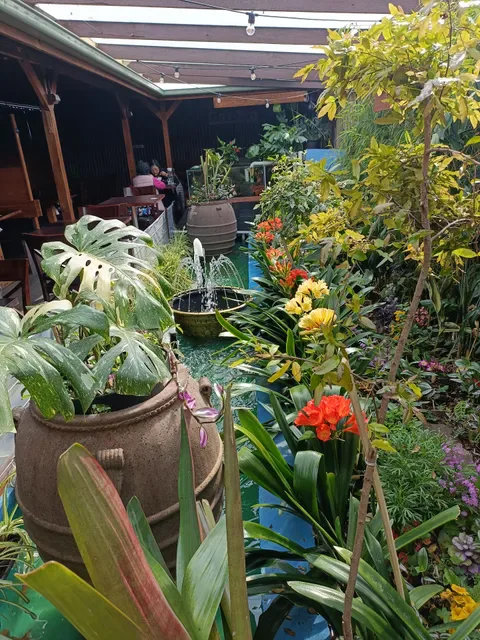 Blue Bamboo Restaurant and Cafe