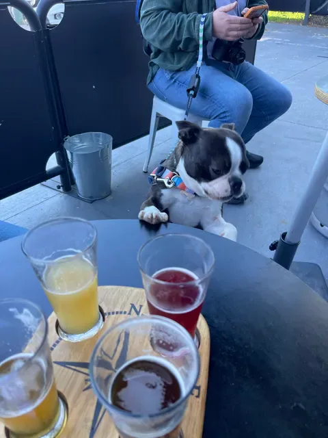 Braeside Brewing Co