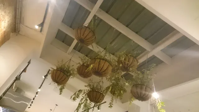 BurgerBurger