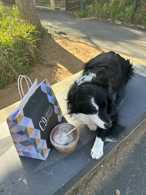 C9 Chocolate & Gelato St Kilda