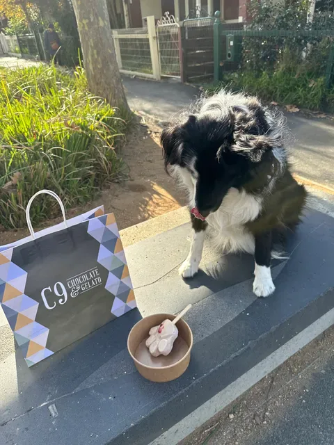 C9 Chocolate & Gelato St Kilda