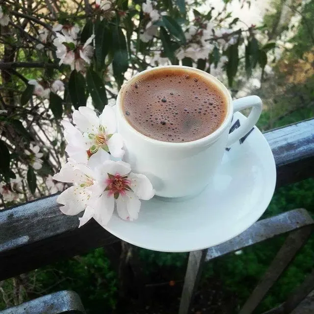 Coburg Coffee & Kitchen Centre