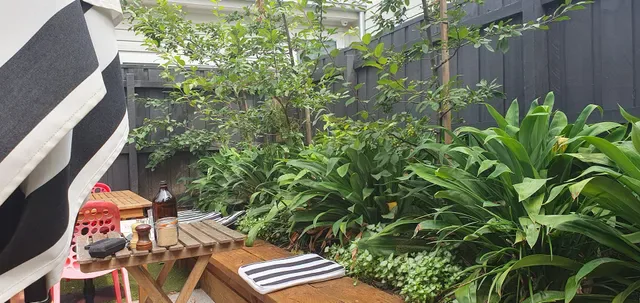 Darling Street Espresso