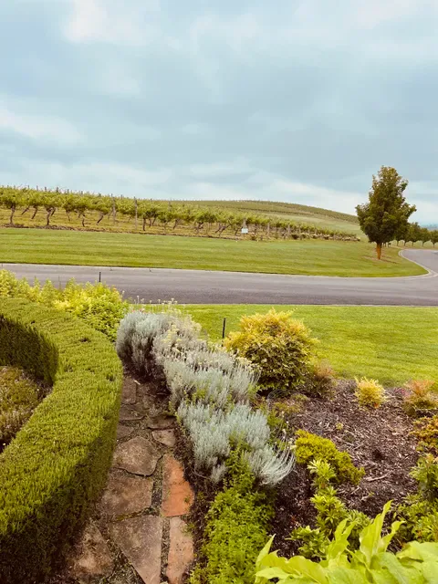 De Bortoli Wines Yarra Valley Cellar Door and Restaurant