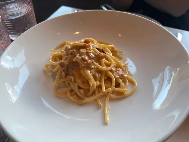 Di Stasio Citta