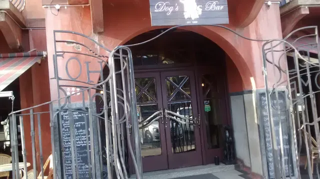 Dogs Bar