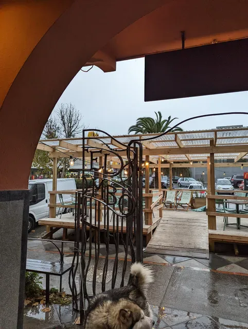 Dogs Bar