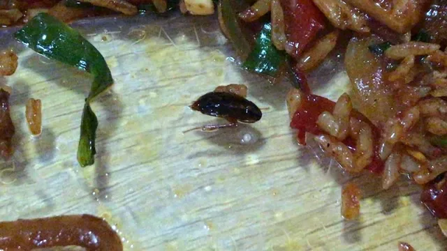 Dolan Uyghur Cuisine