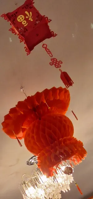 Dumpling Palace