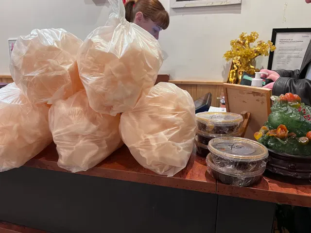 Dumpling Palace