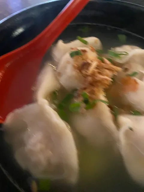 Dumpling Workshop