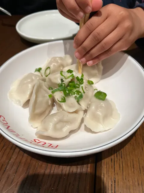 Dumplings Plus