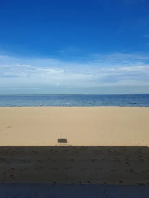 Elwood Bathers