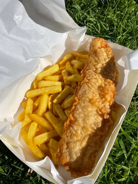 Fish On High